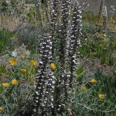 Dora Parikia (Paros)